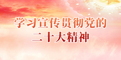 学习宣传贯彻党的二十大精神